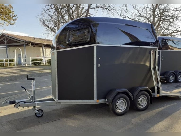 Duo Bockmann Esprit 2021, nieuw