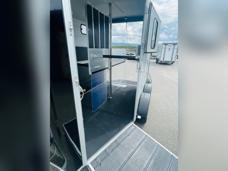 Liberty Country Touring Paard