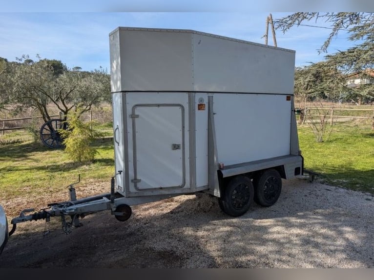 Paard Westfalia, 1200 kg, te schenken