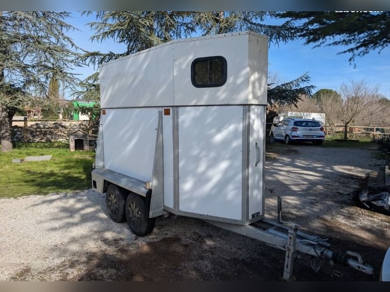 Paard Westfalia, 1200 kg, te schenken