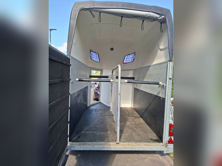 Paardentrailer Sirius S75