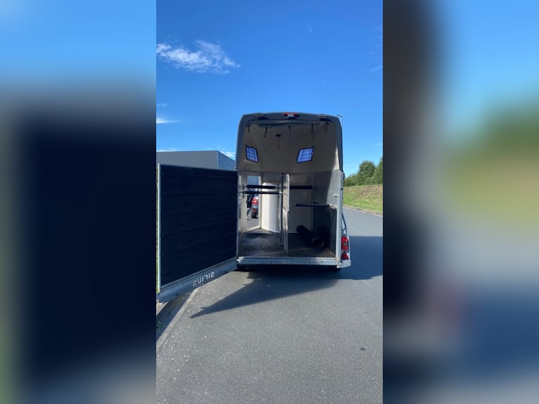 Sirius S75 paardentrailer met veel extra's, nieuwe TÜV en nieuwe banden