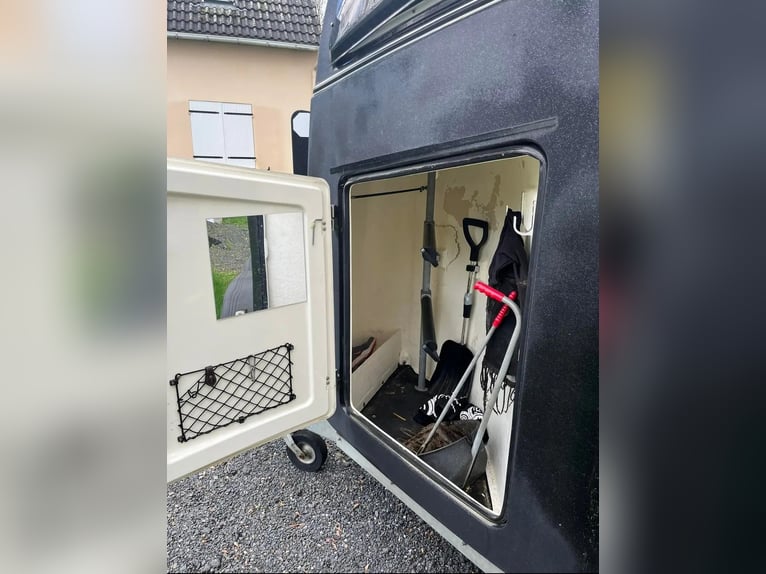 Bockman Black Série 2 paarden