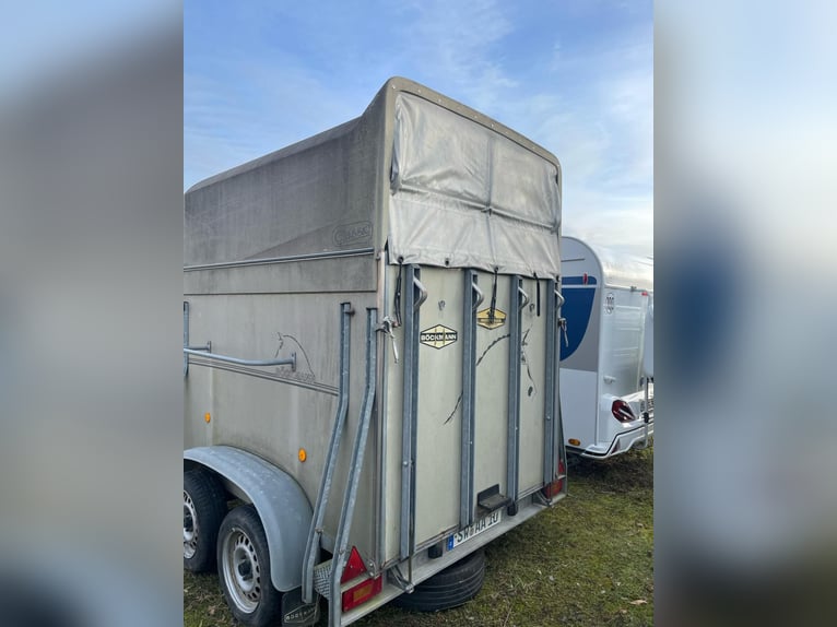 Böckmann Classic driewandige paardentrailer voor 2 paarden
