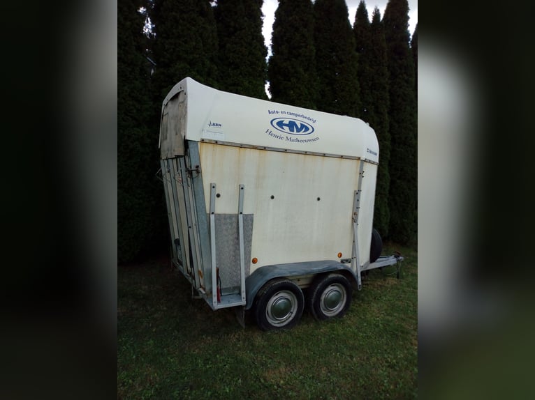 Paardentrailer Henra, 1300 kg DMC, geschikt voor het vervoer van paarden