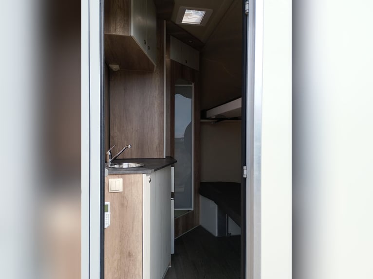 Paardentransporter Paardenaanhanger DT Trailer Hengst met woonruimte Paardentrailer
