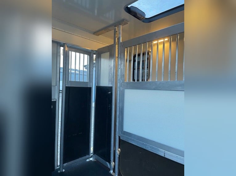 Paardentransporter Paardenaanhanger DT Trailer Hengst met woonruimte Paardentrailer