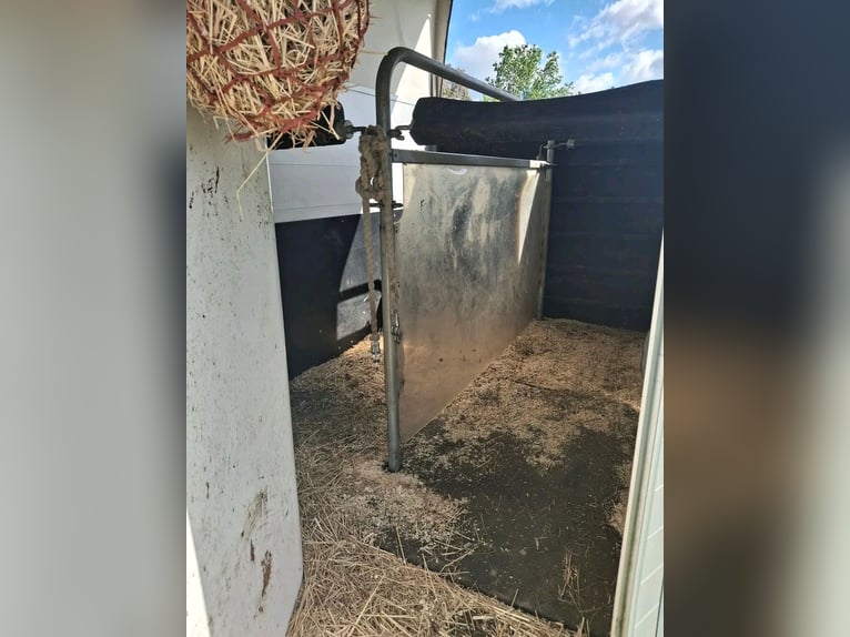 Paardentransporter Sirius S75