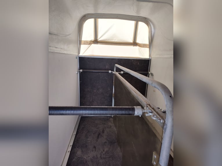 Aanhangwagen voor paarden WM Meyer Arizona