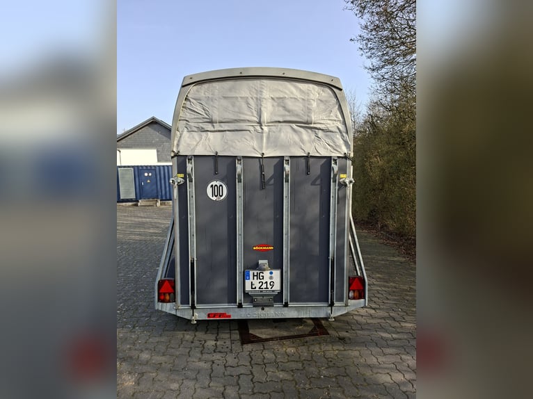 Böckmann Duo Esprit zonder zadelkamer, nieuwe banden, nieuwe keuring