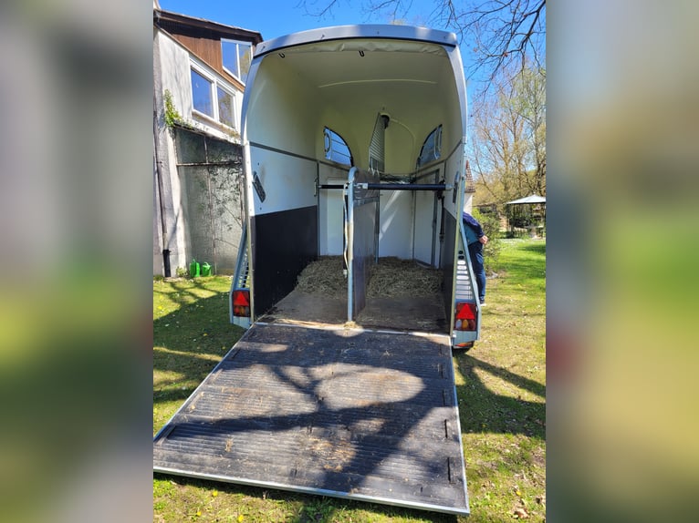 Böckmann Duo met hengstenhek en aluminium bodem