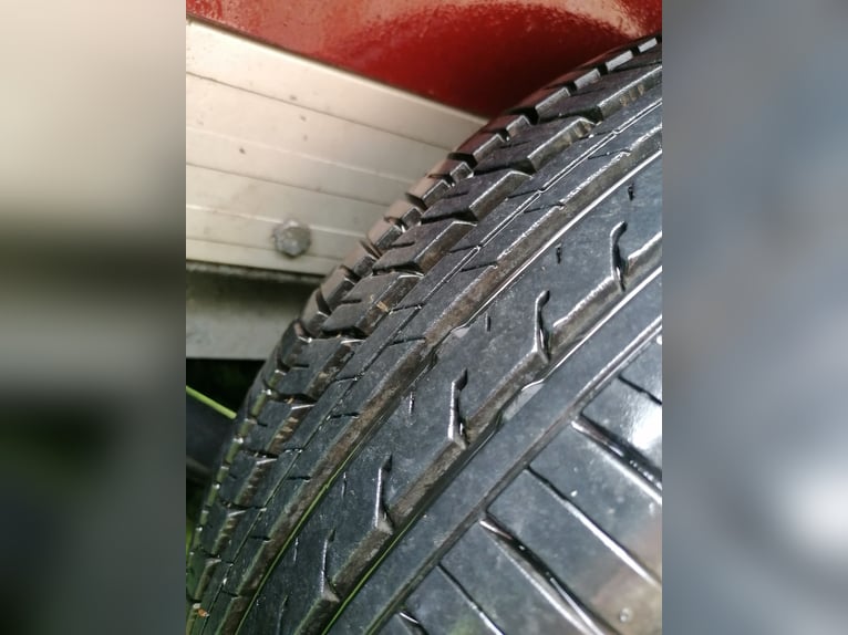 Böckmann paardentrailer, 1,5 paarden, tweedehands, goede staat, nieuwe keuring