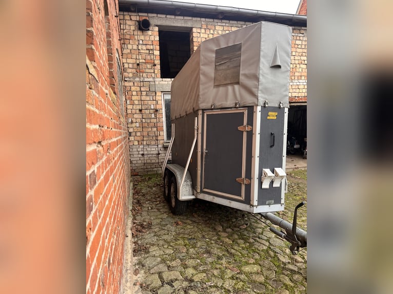 grauer Einzelpferdeanhänger