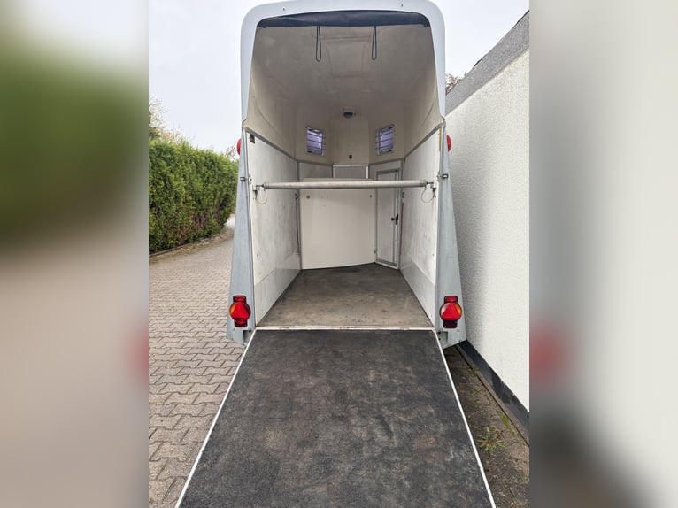 Humbaur Straße 1,5-paards paardentrailer