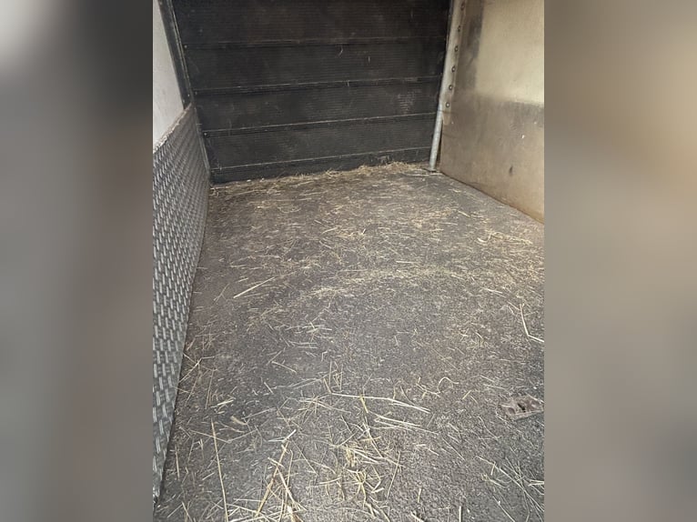 Paardenaanhanger