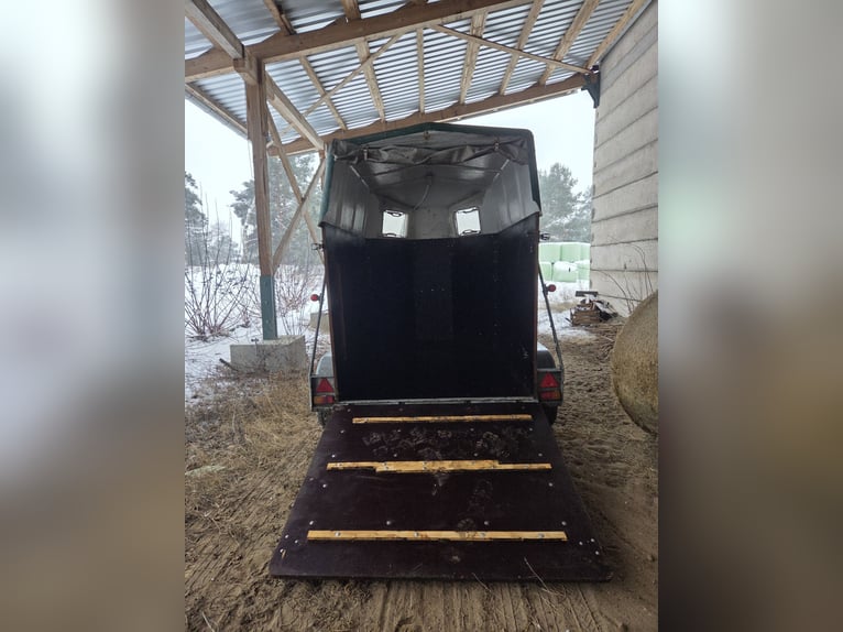 Paardentrailer met geldige technische keuring (TÜV)