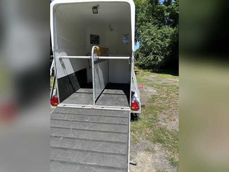 Siemsglüss paardentrailer voor 2 paarden – goedgekeurd voor 100 km/u – volledig gerenoveerd