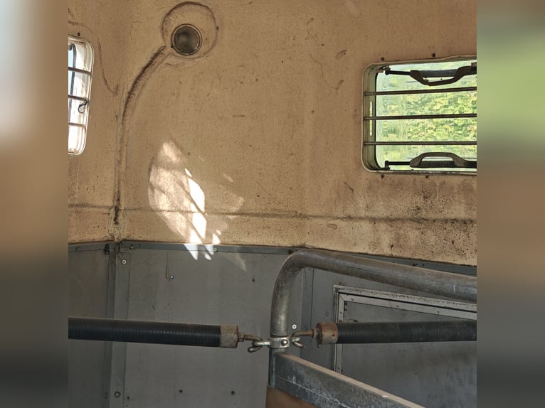 Westeria 2-paards transporter uit 1997; APK 06/28