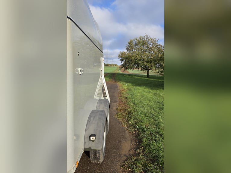 Böckmann Comfort paardenaanhanger (bouwjaar 2015) – keuring geldig tot 06/2027 – aluminium bodem
