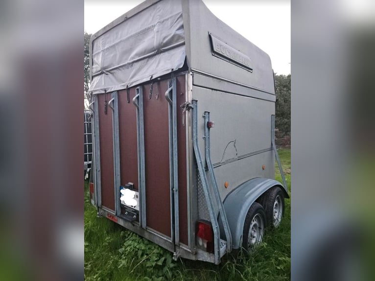 Böckmann Duo Comfort volledig polygoon paardentrailer
