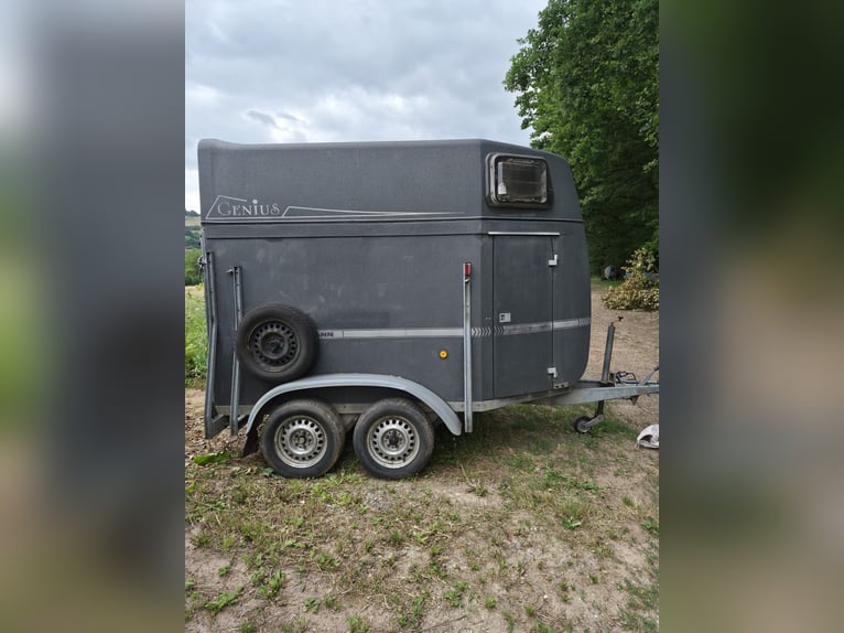 Böckmann Genius CS2 Paardentrailer / Volpoly / Zadelkamer