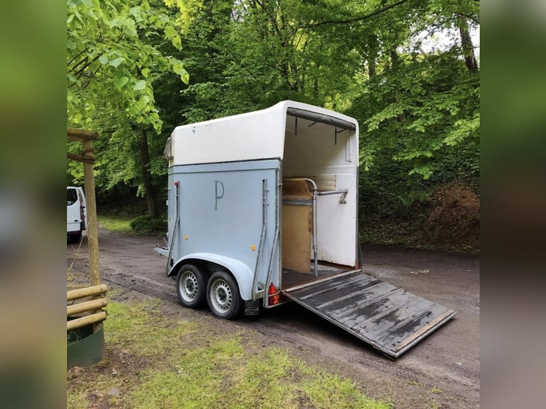 Böckmann paardentrailer