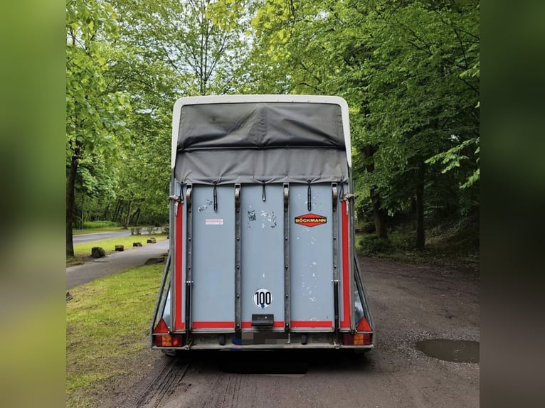 Böckmann paardentrailer