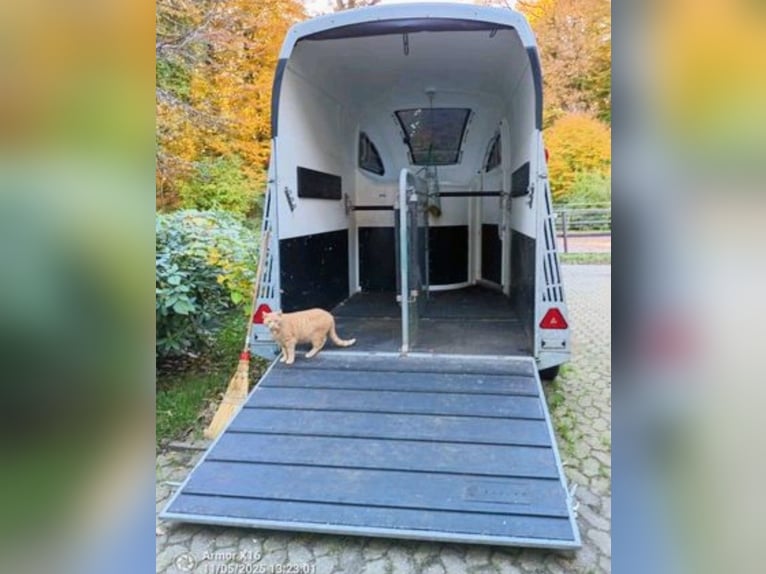 Inhalatie-aanhanger van het merk Oxygen