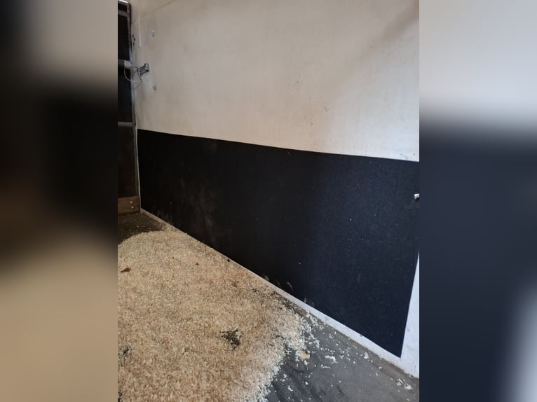 Lichaam Paardentrailer met zadelkamer