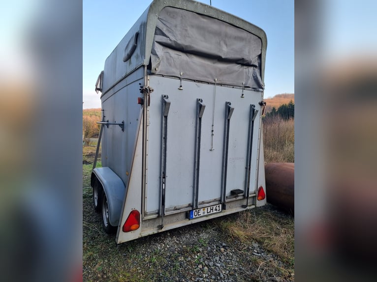 Paardenaanhanger Stema Derby 2