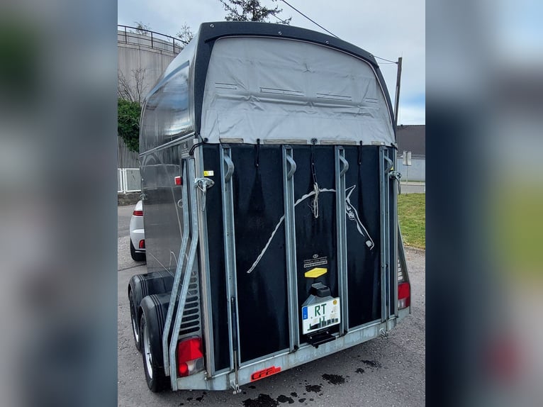 Paardentrailer Böckmann Comfort, 2,4 ton, cff+ onderstel, aluminium bodem