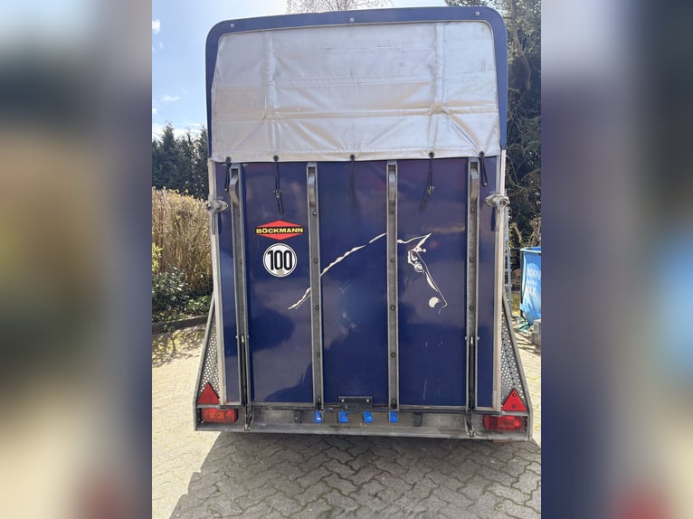 Paardentrailer Böckmann Comfort