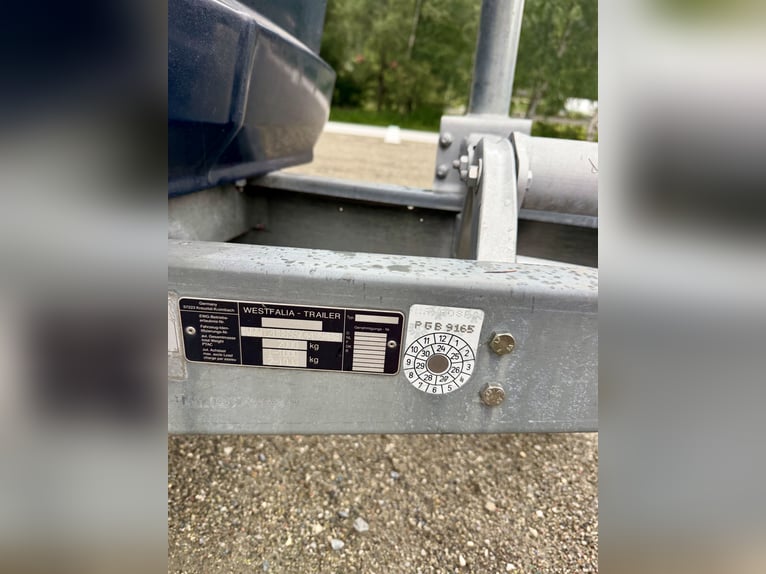 Top Westfalia Jupiter 2-paardenaanhanger - volledig gerenoveerd, NIEUWE bodem en keuringsbewijs geld