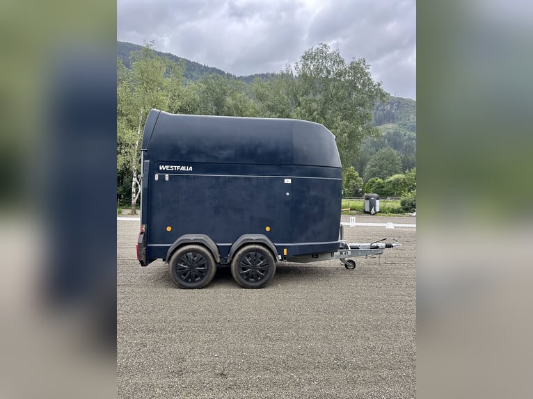 Top Westfalia Jupiter 2-paardenaanhanger - volledig gerenoveerd, NIEUWE bodem en keuringsbewijs geld