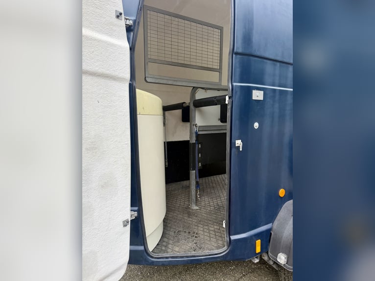 Top Westfalia Jupiter 2-paardenaanhanger - volledig gerenoveerd, NIEUWE bodem en keuringsbewijs geld