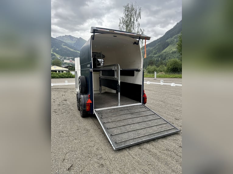 Top Westfalia Jupiter 2-paardenaanhanger - volledig gerenoveerd, NIEUWE bodem en keuringsbewijs geld