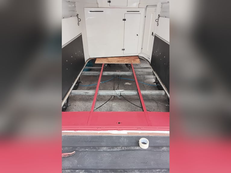 Topkwaliteit paardentrailer van Böckmann Master, nieuw chassis, nieuwe banden, nieuwe keuring, in ui