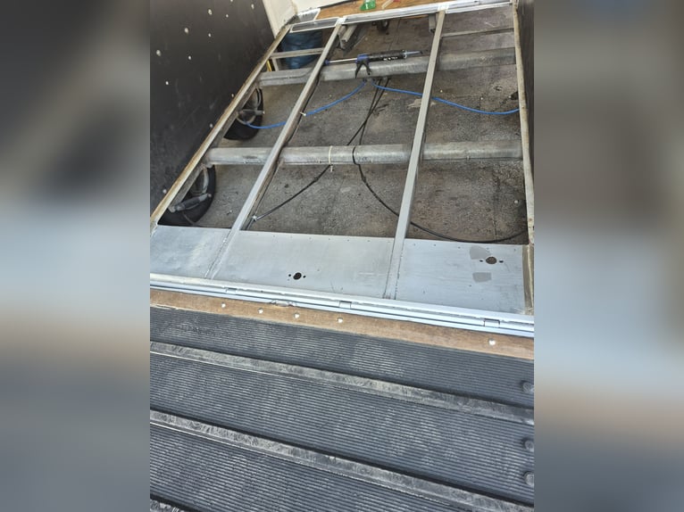 Topkwaliteit paardentrailer van Böckmann Master, nieuw chassis, nieuwe banden, nieuwe keuring, in ui