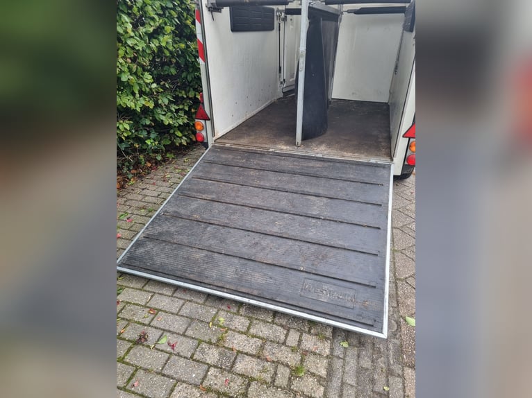Westfalia Jupiter 2 paards trailer
