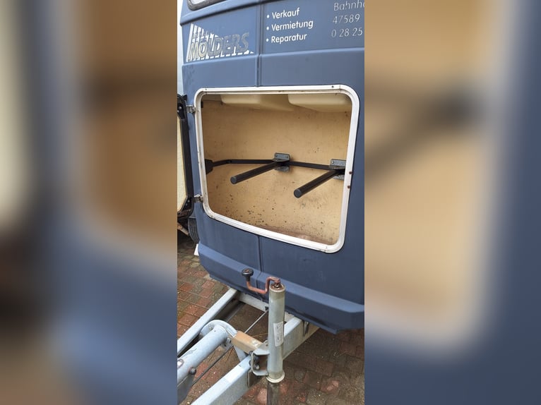 Westfalia paardentrailer