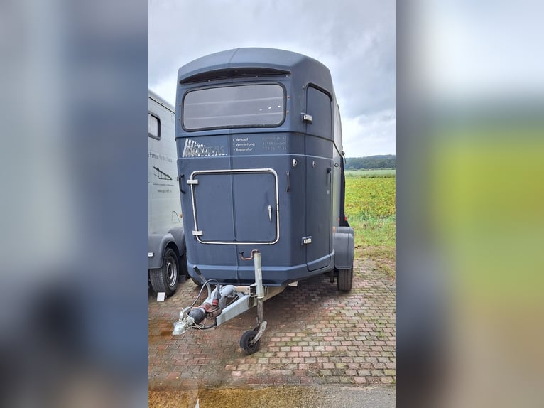 Westfalia paardentrailer