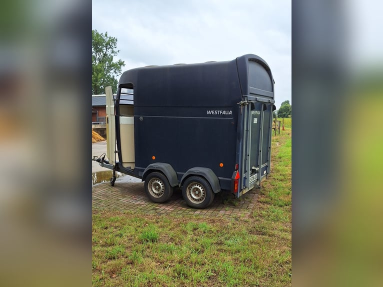 Westfalia paardentrailer