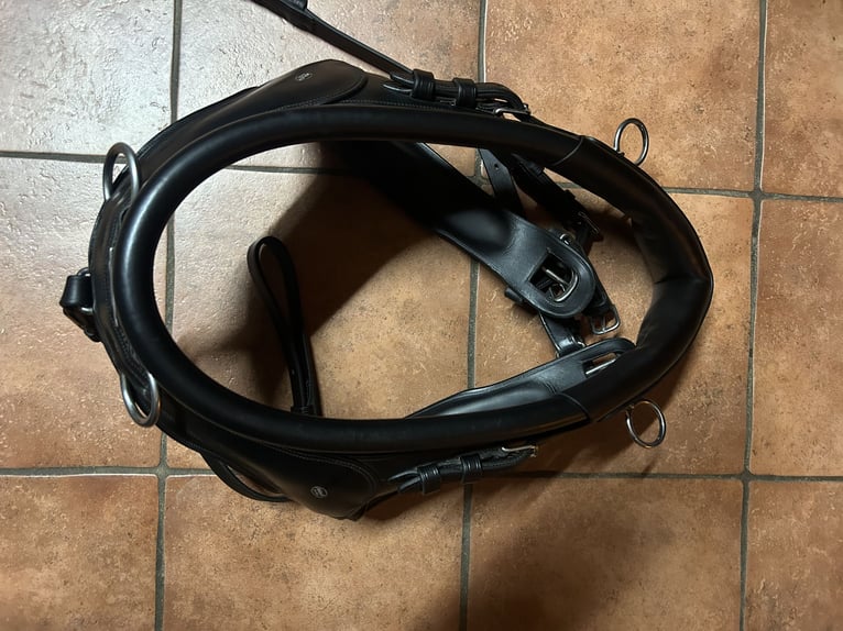 Fa Mönch Marathon Kombis