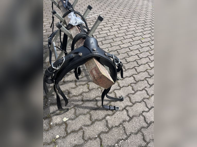 Harness for single harness driving