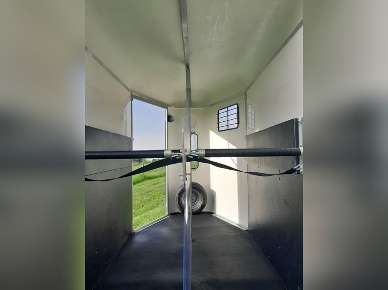 Ik wil mijn van paarden verkopen