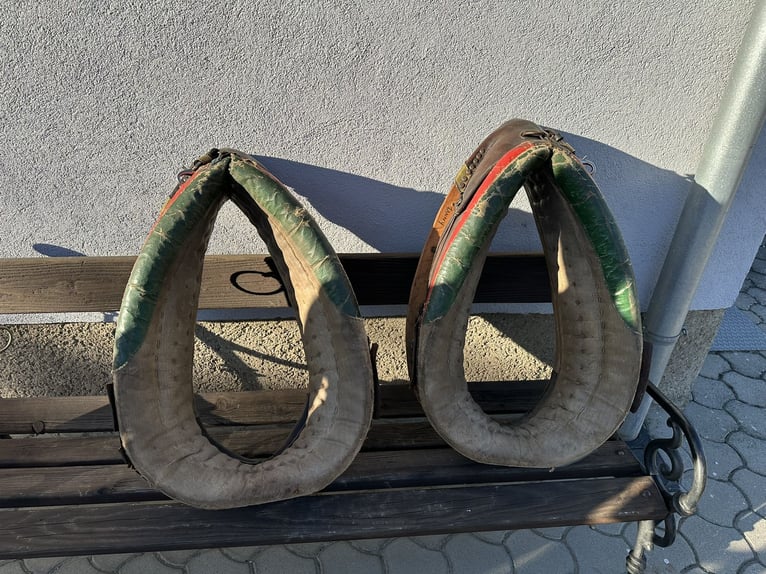 Noriker hoofdstel korset