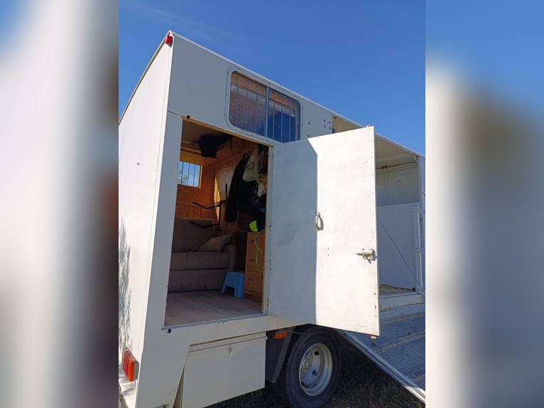 Vrachtwagen voor 3 paarden