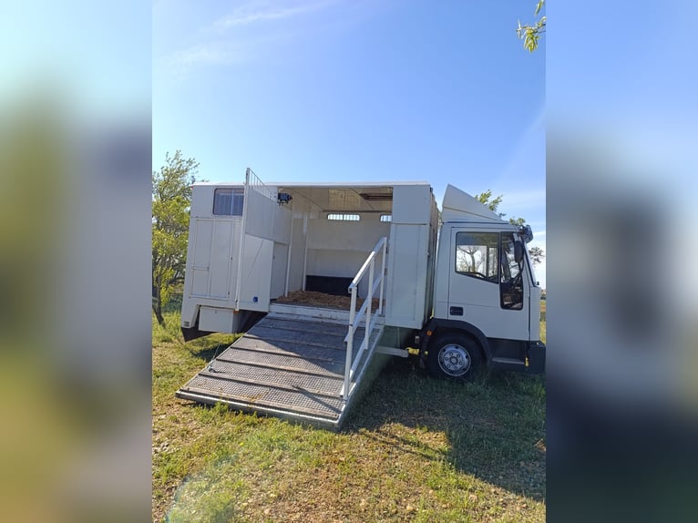 Vrachtwagen voor 3 paarden