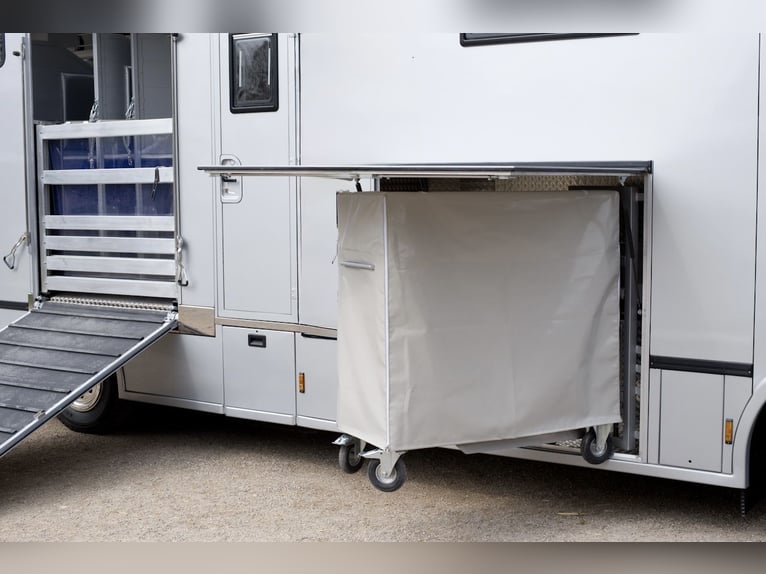 MAN 15.280 Gimmel 5 paardentransporter met woonruimte, WC, douche, vrachtwagen