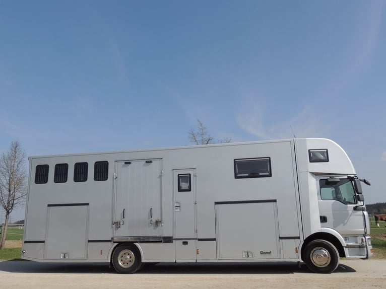 MAN 15.280 Gimmel 5 paardentransporter met woonruimte, WC, douche, vrachtwagen